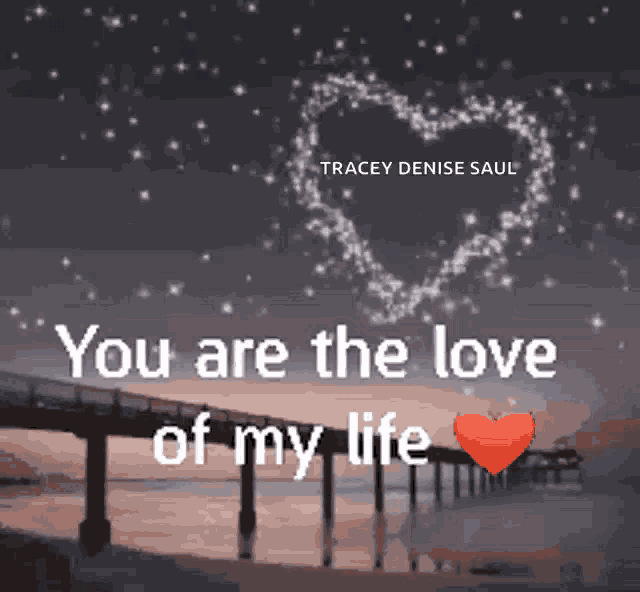 a picture of a bridge with the words " you are the love of my life " written on it