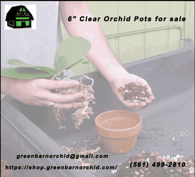 a person is holding a clear orchid pot with a price tag of $ 0.65