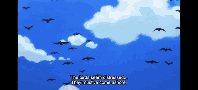 a flock of birds flying in a blue sky with the words the birds seem distressed they must ve come ashore