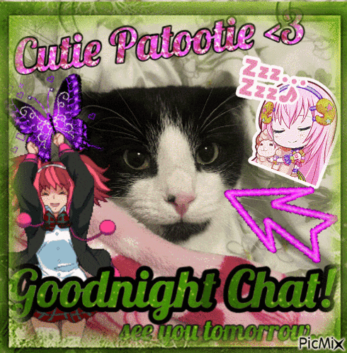 a picture of a cat with the words goodnight chat written on it