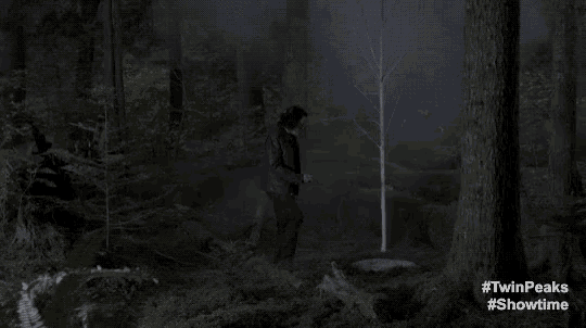 a man is standing in a dark forest next to a small tree .