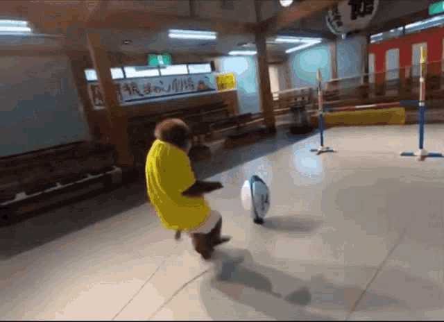 a monkey wearing a yellow shirt kicking a ball