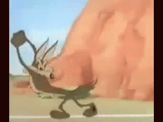 Coyote GIF - Roadrunnerandcoyote Looney Tunes GIFs