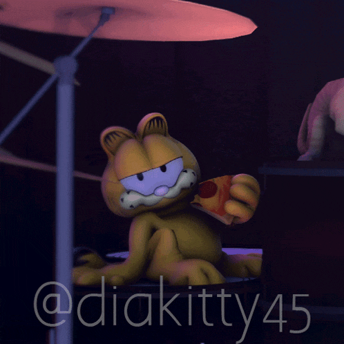 a picture of garfield holding a slice of pizza with the name diakitty45 below it