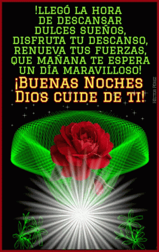 Red Rose Quotes GIF - Red Rose Quotes Buenas Noches GIFs