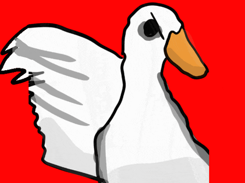 a white duck with a yellow beak is against a red background