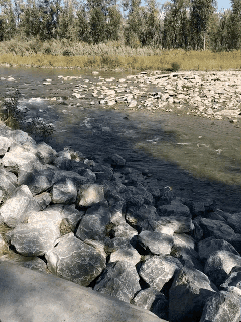 Okotoks Sheep River GIF - Okotoks Sheep River Peaceful GIFs