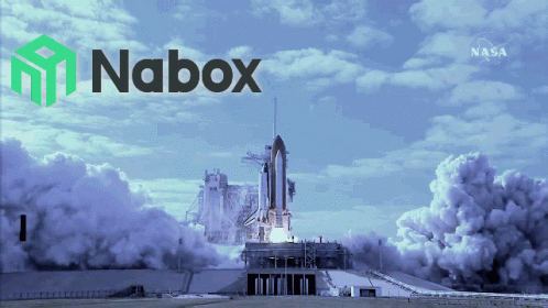 Nabox Naboxwallet GIF - Nabox Naboxwallet GIFs