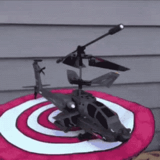 Dog Helicopter GIF - Dog Helicopter Cute GIFs