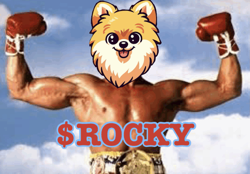 Rocky Rockymemes GIF - Rocky Rockymemes Crypto GIFs