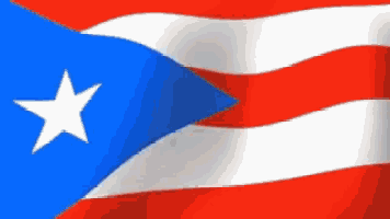 a red white and blue flag with a white star on it