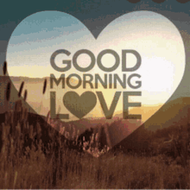 Good Morning Good Morning Love GIF - Good Morning Good Morning Love I Love You GIFs