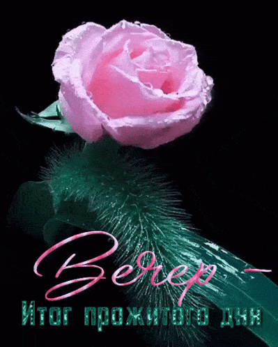 a pink rose with water drops on it is on a black background with russian writing