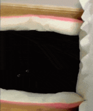 a pillow that looks like a shark 's mouth with a black background .