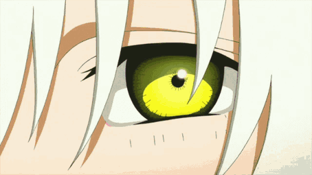 a close up of a person 's eye with white hair