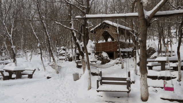 a snowy area with a swing and hammock