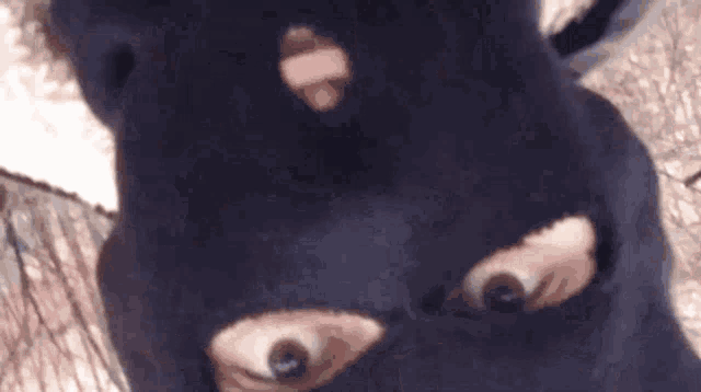 a person wearing a black ski mask with a hole in the middle of their face