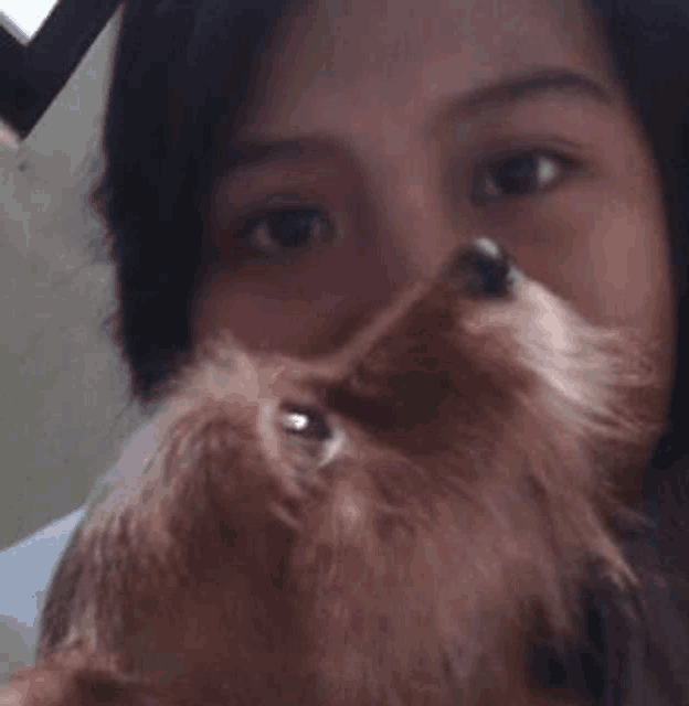 a woman is holding a small brown dog in her arms and looking at the camera .