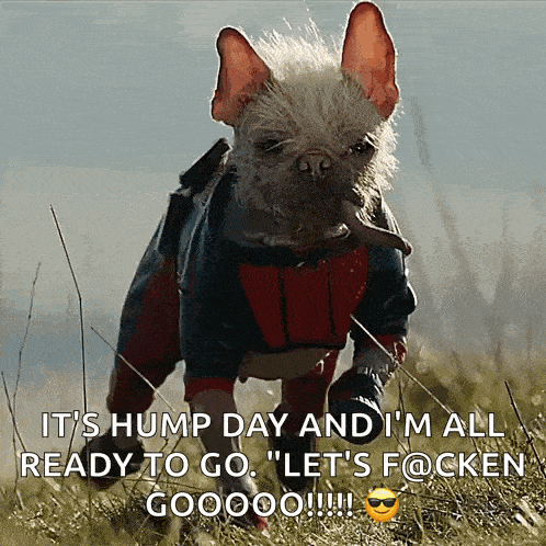 a dog wearing a superhero costume is running in the grass