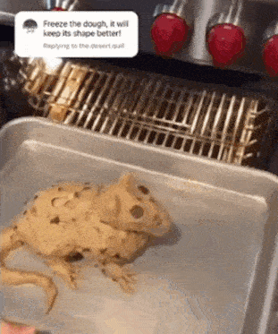 a tray of dough that looks like a lizard and says freeze the dough