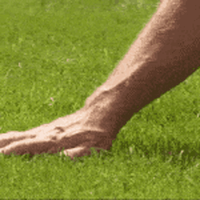 a close up of a person 's hand on the grass