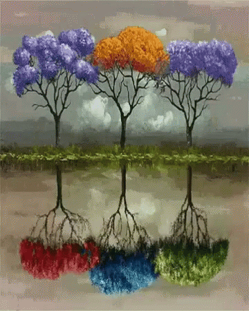 Trees Reflection GIF - Trees Reflection GIFs