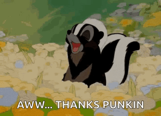 a cartoon skunk is standing in a field of flowers and says aww ... thanks punkin