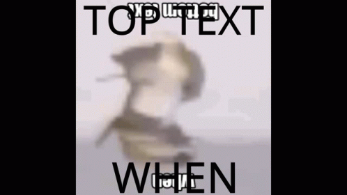 Top Text GIF - Top Text GIFs