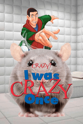 a poster for i was crazy once with a cartoon character on top of a mouse