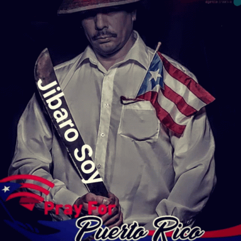 Boricua Puerto Rico GIF - Boricua Puerto Rico Jibaro Soy GIFs