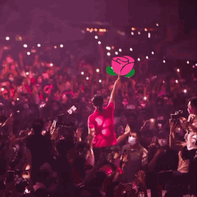 a woman in a pink shirt holds up a pink rose