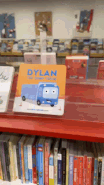 a book called dylan sits on a shelf with other books