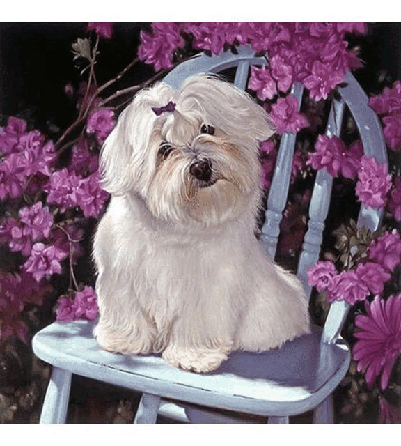 a small white dog sitting on a blue chair with purple flowers in the background