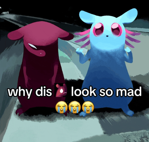 why dis look so mad is written on a picture of two animals