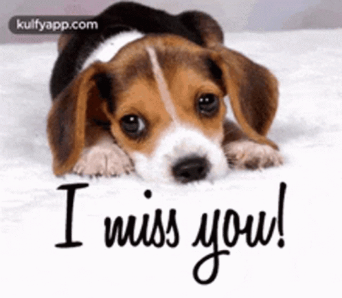 Miss You Puppies GIF - Miss You Puppies GIFs