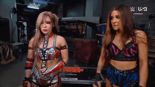 two female wrestlers are standing next to each other in a room with a wwe logo on the bottom