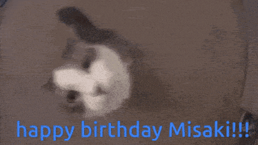 a cat with the words happy birthday misaki written in blue