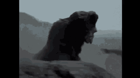 King Kong Godzilla GIF - King Kong Godzilla Falling GIFs
