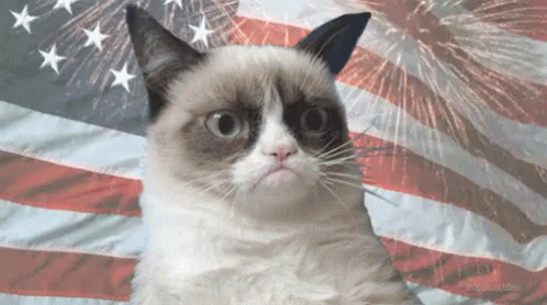 Meow GIF - Independence Day America Usa GIFs