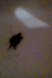 a blurred image of a person 's face with a purple background .