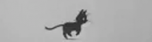 Cat Pix GIF - Cat Pix GIFs