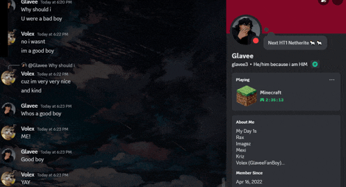 a screenshot of a person 's minecraft profile