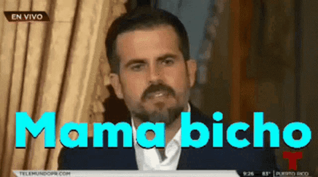 a man with a beard is on a television screen with the words mama bicho behind him