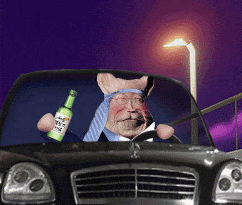 a pig is driving a car and holding a green bottle that says hong kong