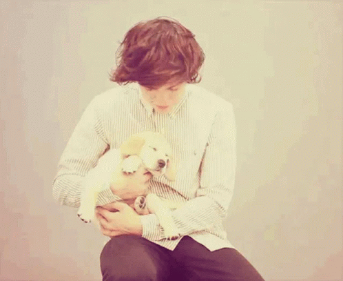 Harry Styles Cute GIF - Harry Styles Cute Puppy GIFs