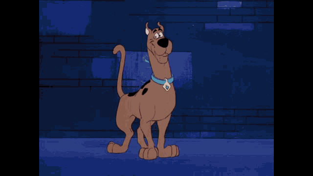 scooby doo is standing in front of a blue wall