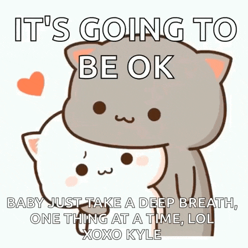 a cartoon of a cat hugging another cat with the words it 's going to be ok