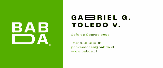 a business card for gabriel g. toledo v. is green and white