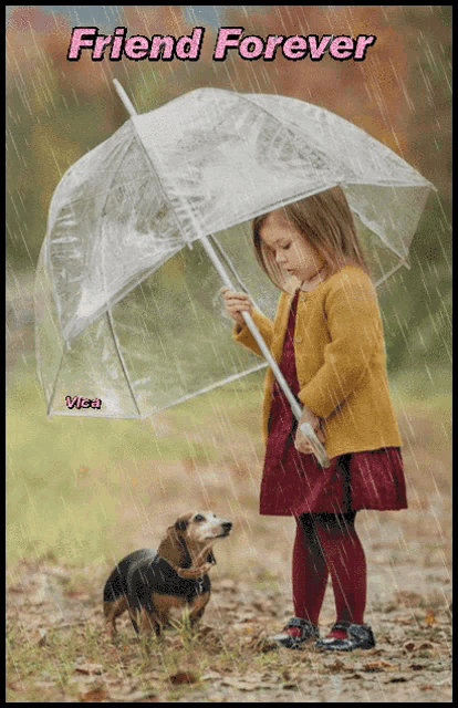 a little girl holding a clear umbrella stands next to a dog in the rain