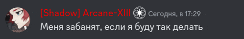 a screenshot of shadow arcane xiii with russian text